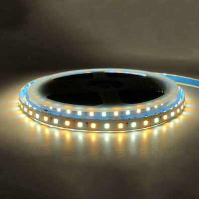 12V 8mm 120 leds SMD2835 LED Strip Light com painel CCT de dois lados