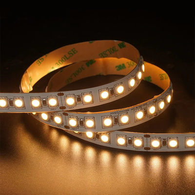12V 24V Chasing Soft Outdoor Silicone Smart Light Smd Flexível Led Neon Strip Light 10M