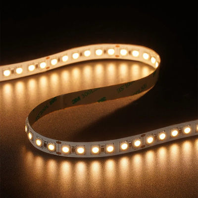 12V 24V Chasing Soft Outdoor Silicone Smart Light Smd Flexível Led Neon Strip Light 10M