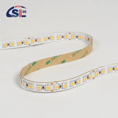 12V 24V Chasing Soft Outdoor Silicone Smart Light Smd Flexível Led Neon Strip Light 10M