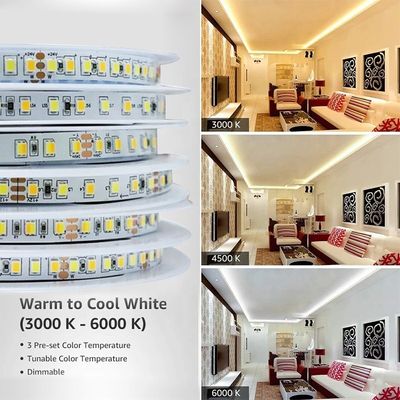 Tecnologia de Conectividade Bluetooth IP20 SMD2835 Luz de Faixa LED com Super Brilho