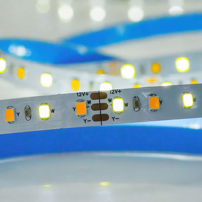 CCT personalizado 12V24V 8mm 120leds 3000K-6500K Quente Branco-Branco SMD2835 LED Strip Light