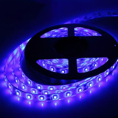 IP20 12V SMD2835 120LED/m Luz LED com CE RoHS