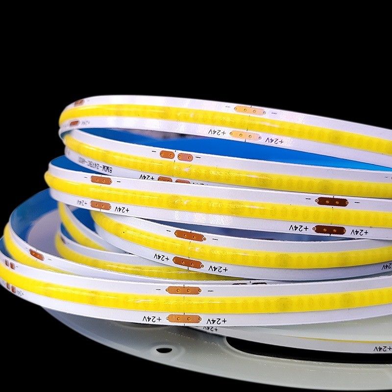 Lâmpadas de Luz Tipo de Item Alto brilho impermeável Personalização COB Luz de Faixa LED