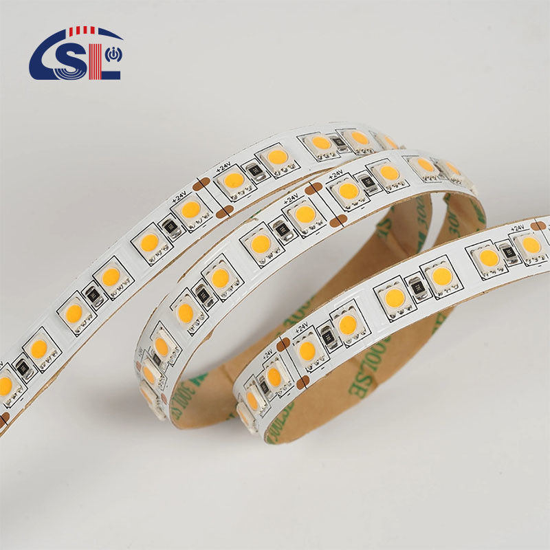 12V 24V Chasing Soft Outdoor Silicone Smart Light Smd Flexível Led Neon Strip Light 10M