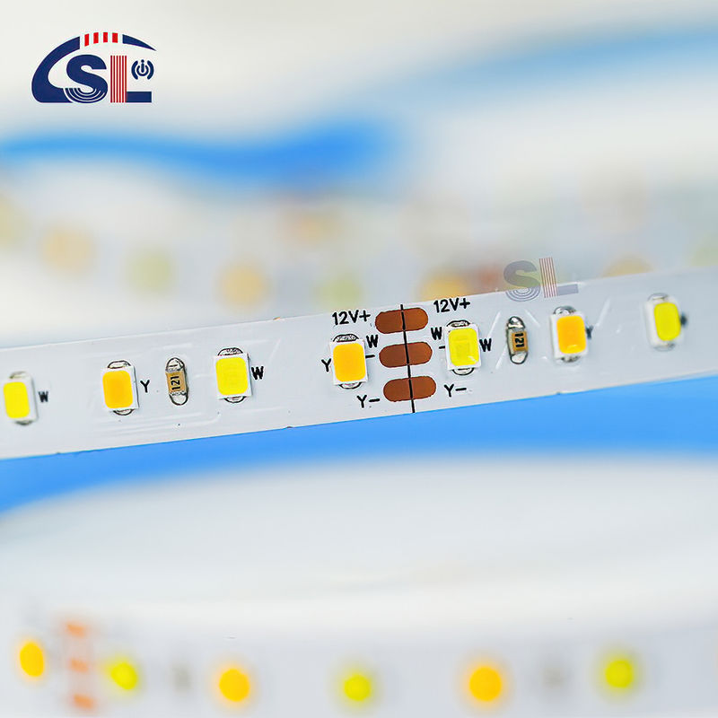 CCT personalizado 12V24V 8mm 120leds 3000K-6500K Quente Branco-Branco SMD2835 LED Strip Light
